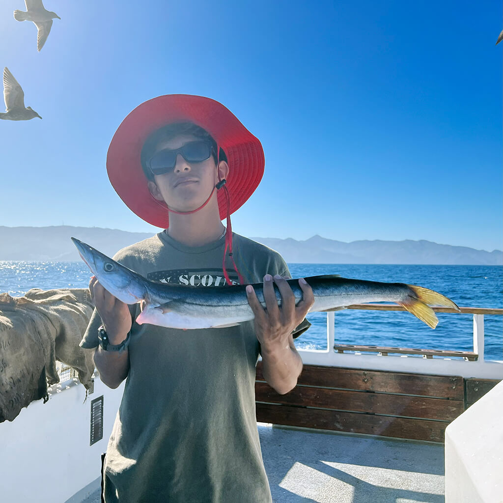 Openwaters Foundation Deep Sea Fishing Barracuda