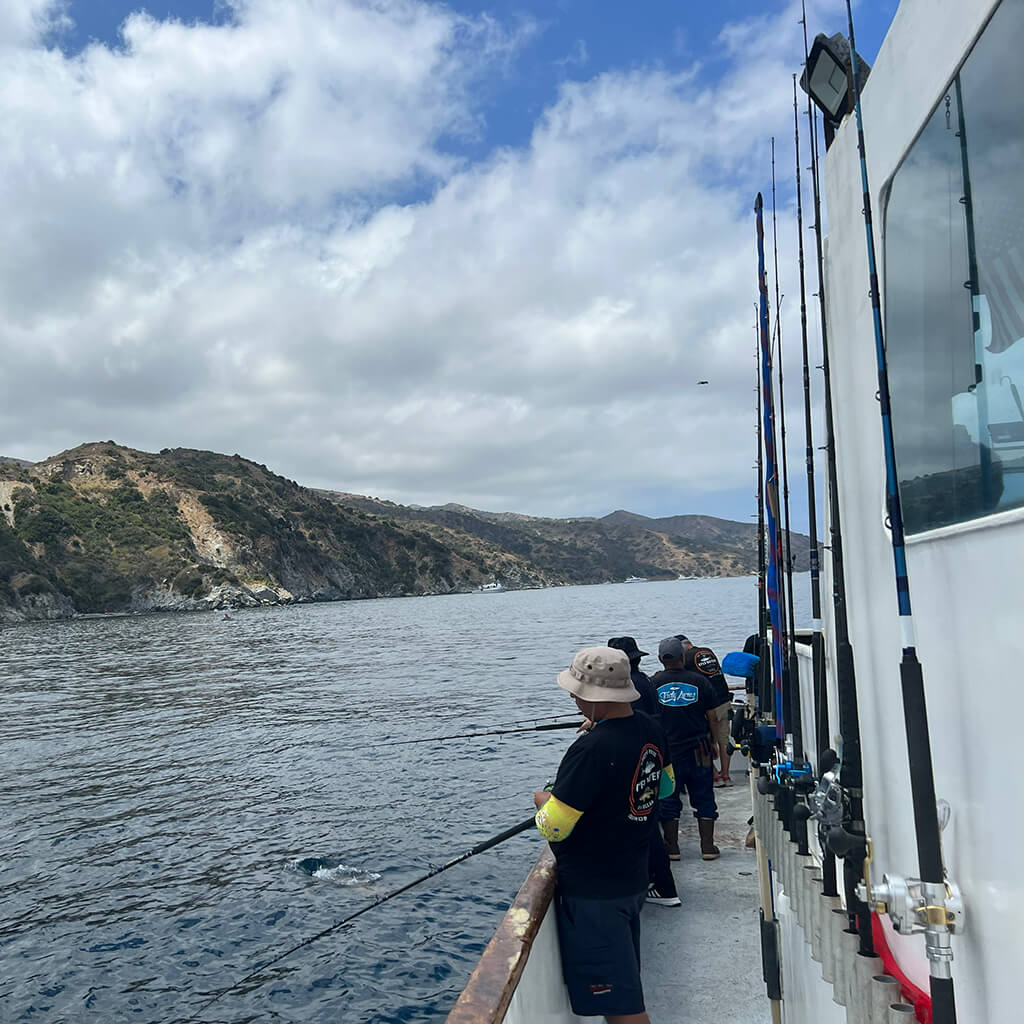 Openwaters Foundation Deep Sea Fishing Catalina Island