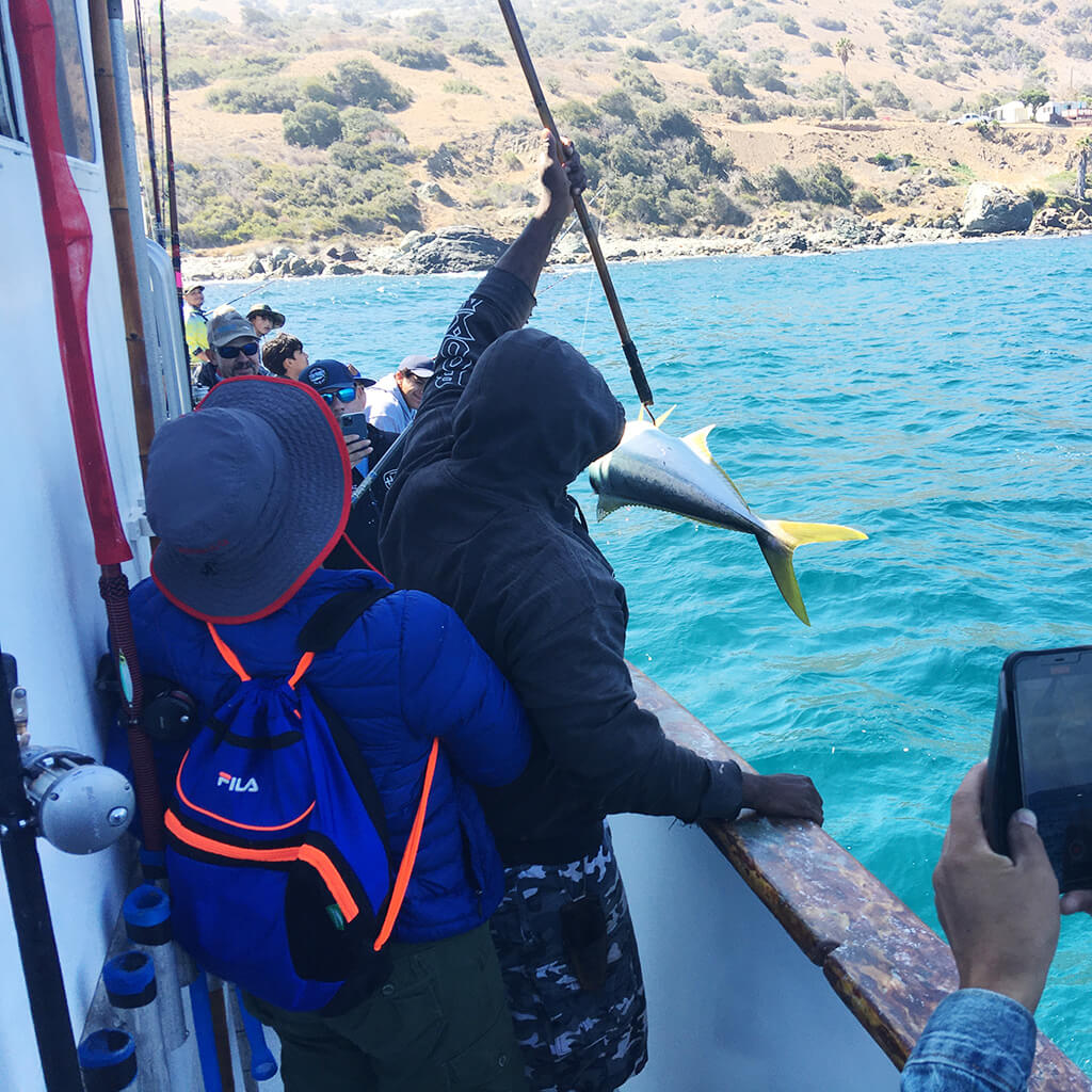 Openwaters Foundation Deep Sea Fishing Yellowtail 01