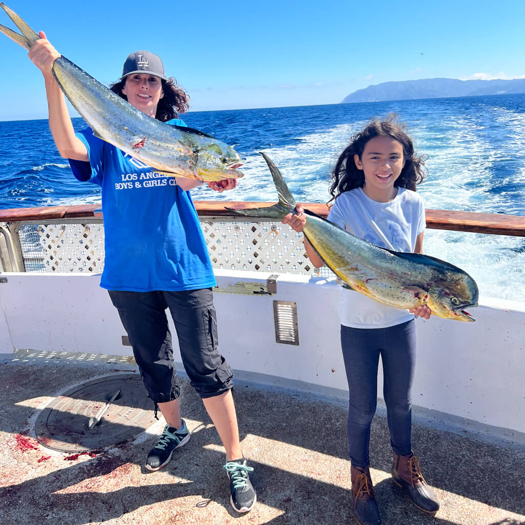 Openwaters Foundation Deep Sea Fishing Mahi Mahi El Dorado